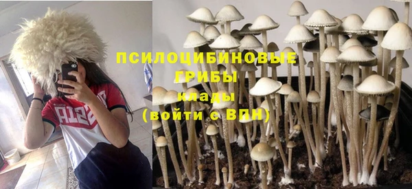 хмурый Алексеевка