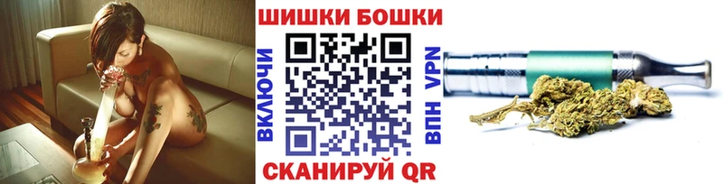 Бошки марихуана сатива  Аргун 